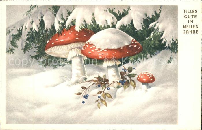 Pilze Zeichnung neues Jahr