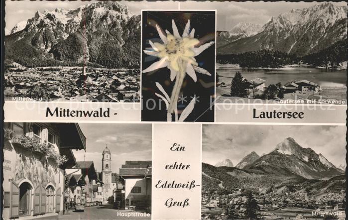 Edelweiss Lautersee Mittenwald
