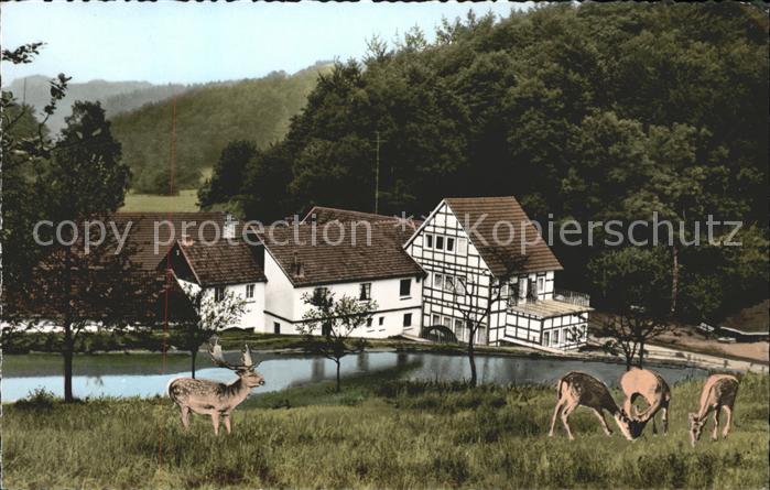 Winterscheid Siegkreis Hotel Restaurant Winterscheider Muehle Wild