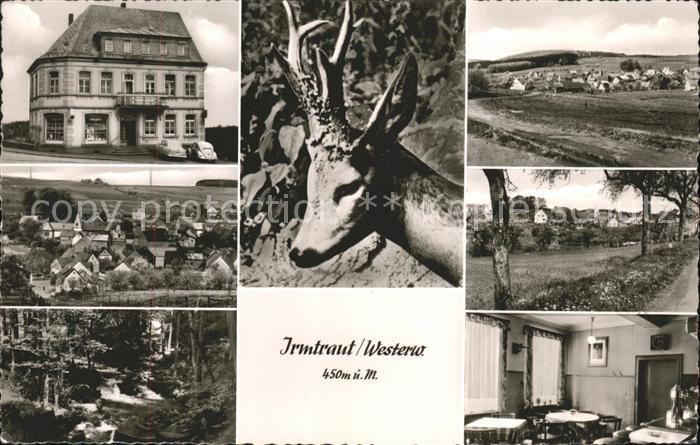 Limburg Lahn Pension Irmtraut Wild