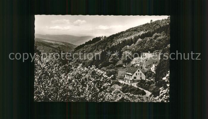Waldbreitbach Wied Restaurant Pension Waldhaus Elsbachtal