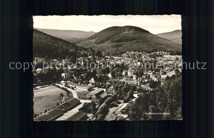 Bad Herrenalb Fliegeraufnahme