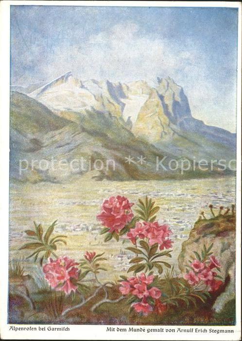 Kuenstlerkarte Alpenrosen bei Garmisch Arnulf Erich St