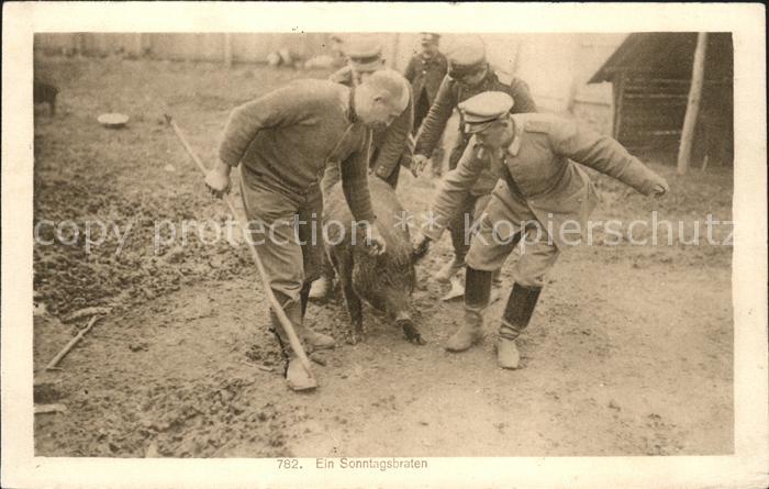 Schweine Ein Sonntagsbraten 782