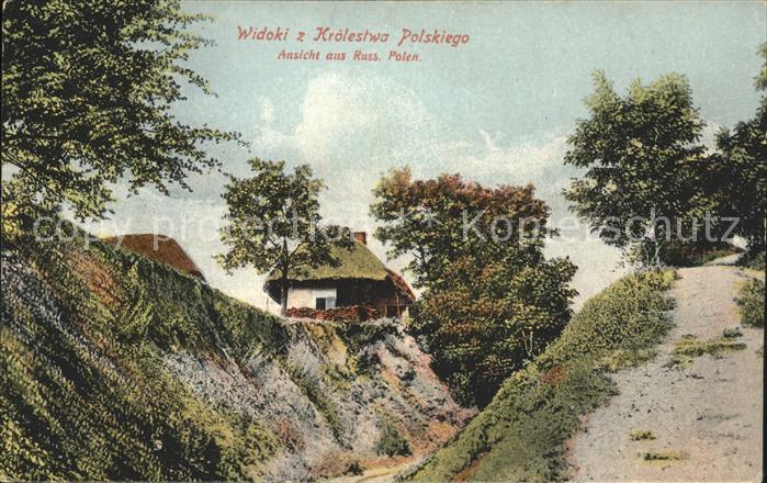 Baeume Trees Polen Krolestwa Polskiego