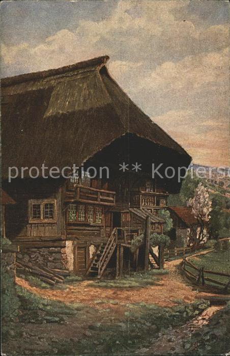 Simon A. Frühling Schwarzwald Morgenstimmung