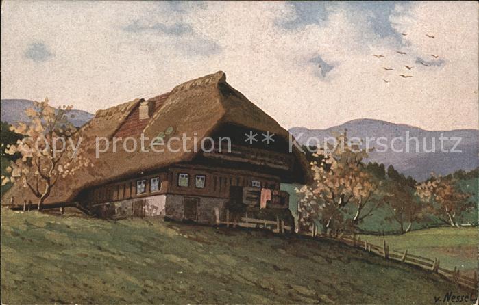 Nessel V. Schwarzwald