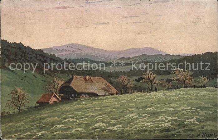 Nessel V. Schwarzwaldhäuser