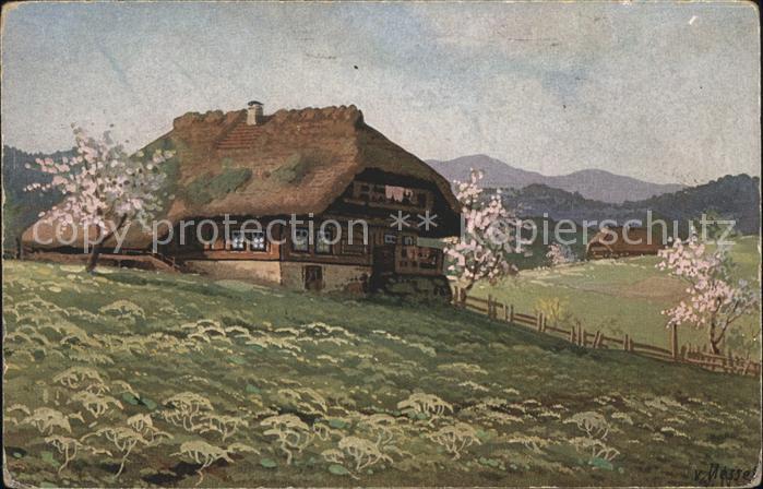 Nessel V. Nr. 35378 Schwarzwaldhäuser
