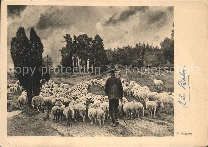Kuenstlerkarte H. L. Psalm Schafe Schäfer