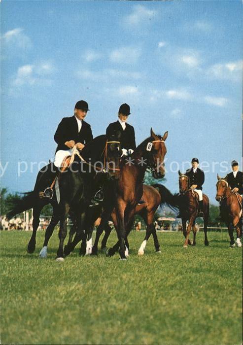 Pferdesport Pferderennen Reitsport Formationsreiten