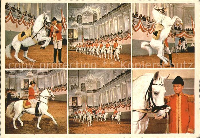 Pferdesport Pferderennen Reitsport Wien Spanische Hofreitschule