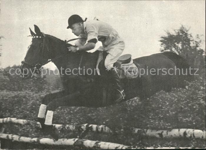 Pferdesport Pferderennen Reitsport Horst Karsten Condora