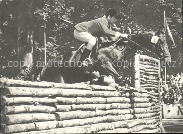 Pferdesport Pferderennen Reitsport Fritz Ligges Pferd Nino