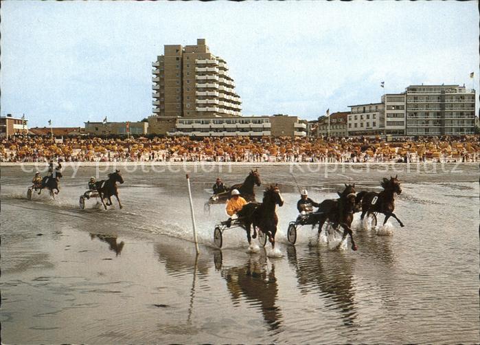Pferdesport Pferderennen Reitsport Trabrennen Meeresgrund Cuxhaven Duhnen