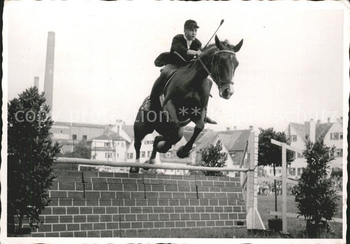 Pferdesport Pferderennen Reitsport