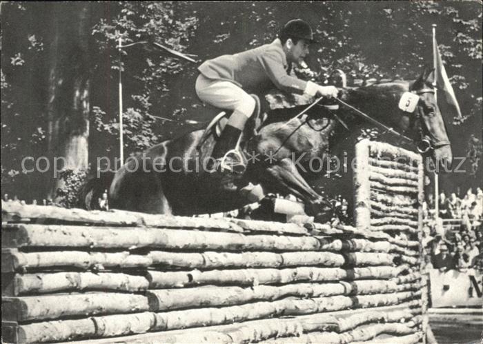 Pferdesport Pferderennen Reitsport Fritz Ligges Pferd Nino