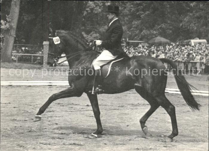 Pferdesport Pferderennen Reitsport Brilliant Willi Schultheis