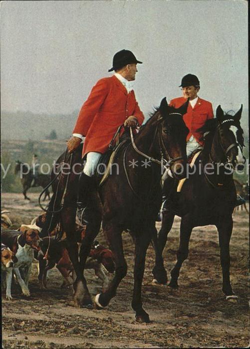 Pferdesport Pferderennen Reitsport Jagdhunde