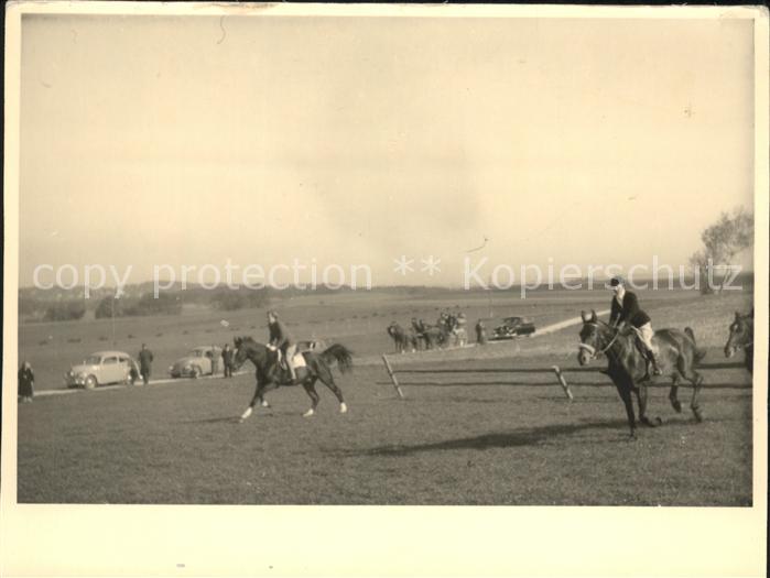 Pferdesport Pferderennen Reitsport