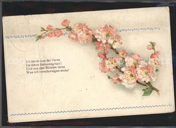 Blumen Spruch Gedicht