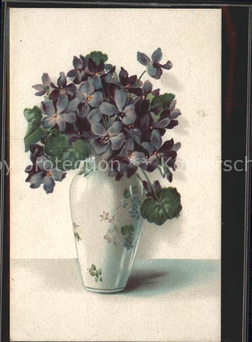 Blumen Vase Veilchen