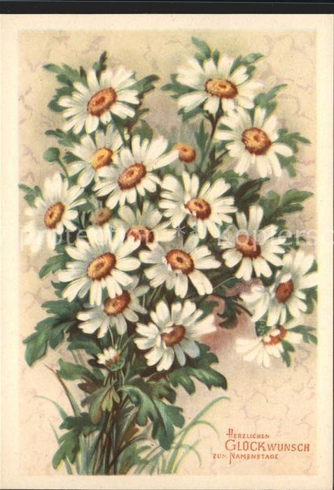 Namenstag Namenskarte Glückwunsch