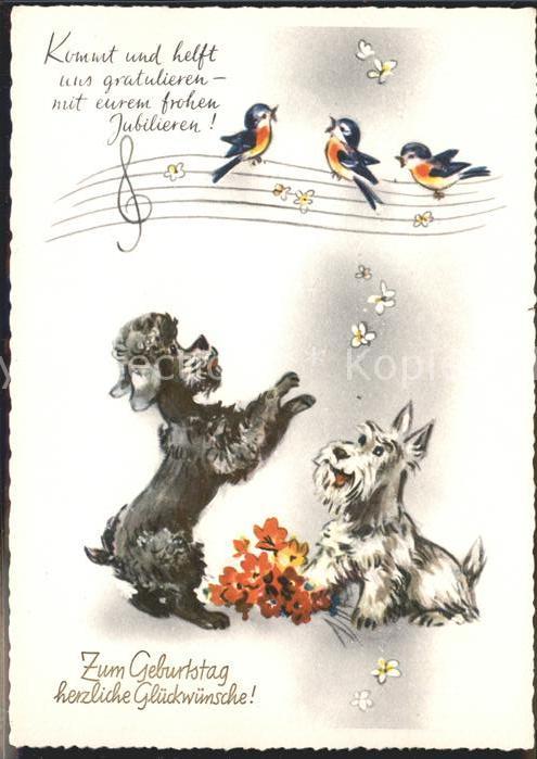 Geburtstag Hunde Vögel
