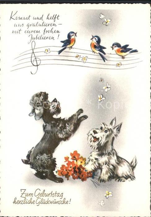 Geburtstag Hunde Vögel