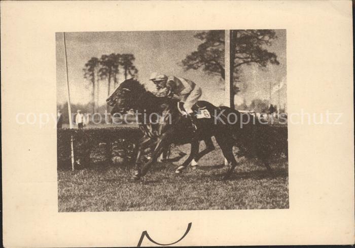 Pferdesport Pferderennen Reitsport