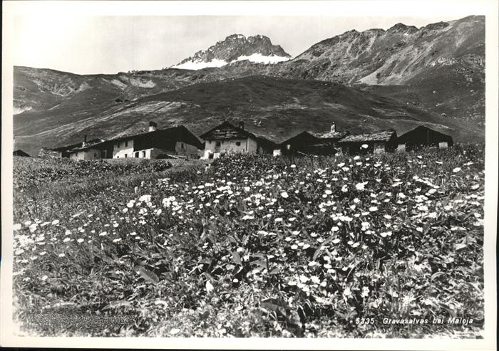 Maloja GR Gravasalvas