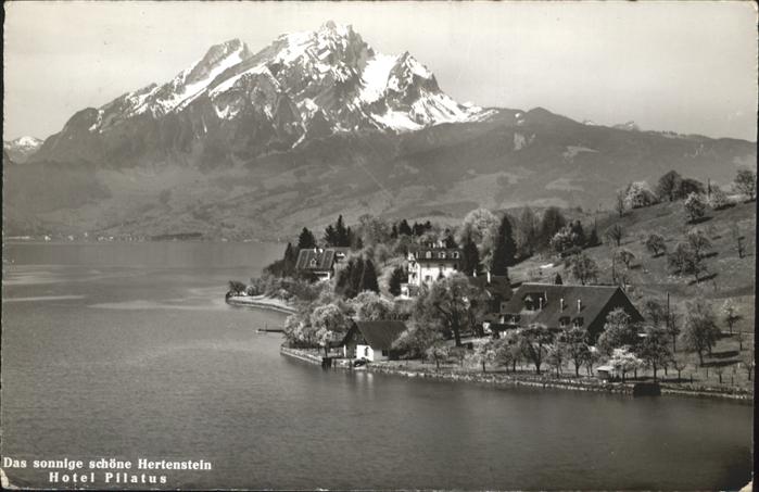Hertenstein LU Hotel Pilatus