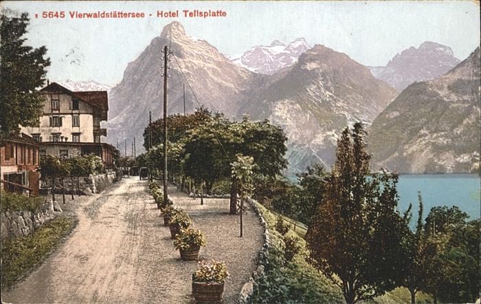 Vierwaldstaettersee Hotel Tellsplatte