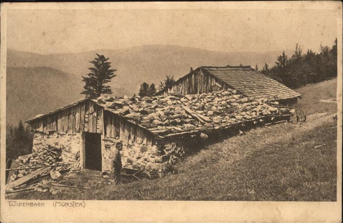 Muenster Elsass Widenbach