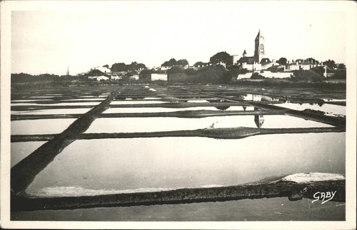 Ile de Noirmoutier les Marais Salands