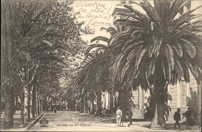 Ajaccio Avenue du 1er Consul