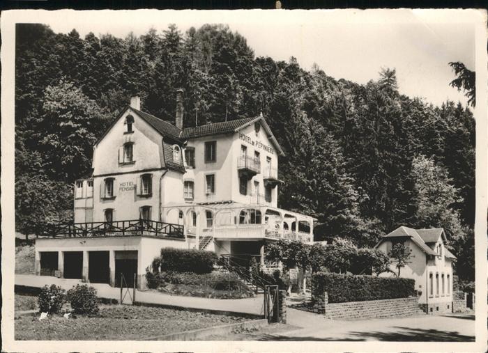 Ribeauville Haut Rhin Elsass Hotel Pepiniere