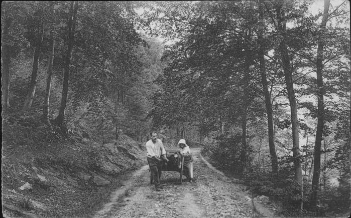 Rochefort Namur Wallonie Paysage au Bois Falizes