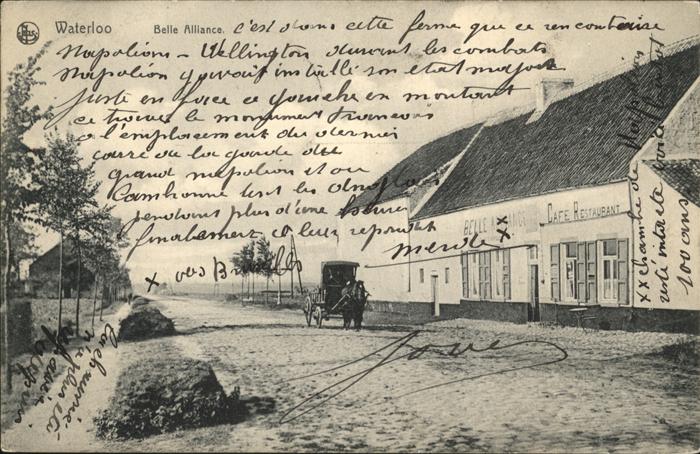 Waterloo Wallon Belle Alliance