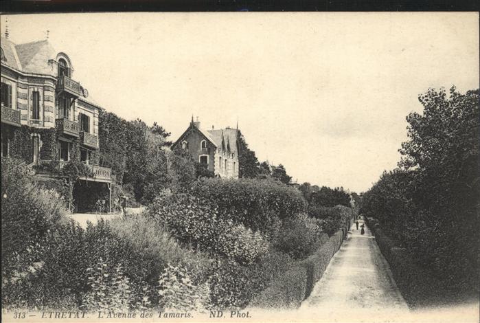 Etretat L'Avenue des Tamaris