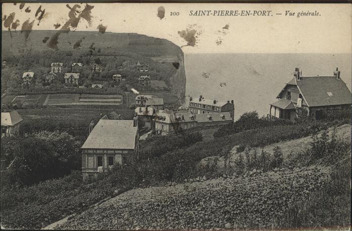 Saint-Pierre-en-Port Vue generale