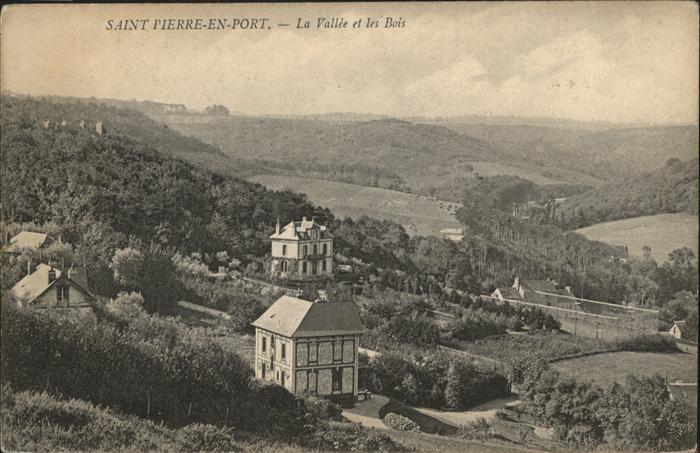 Saint-Pierre-en-Port Vallee les Bois