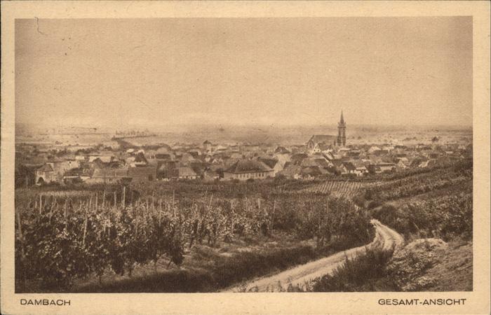Dambach Haguenau Gesamt Ansicht