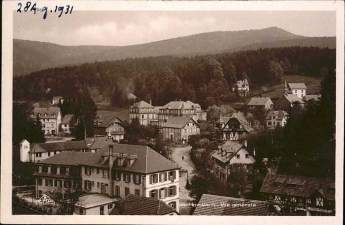 Le Hohwald Vue generale