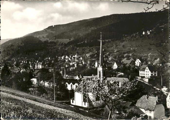 Sondernach Haut-Rhin vue generale