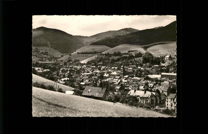 Sainte-Marie-aux-Mines Haut Rhin Vue generale