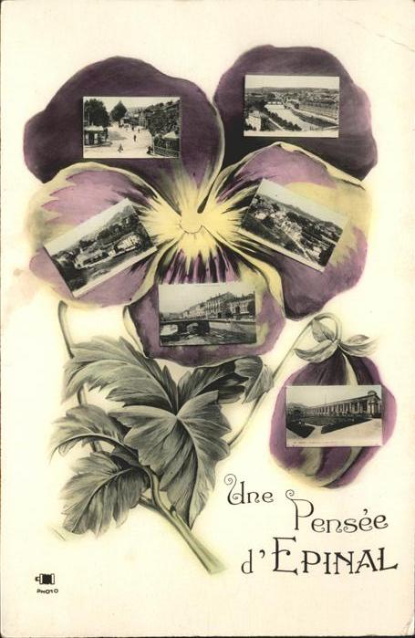 Epinal Vosges Pensee d Epinal