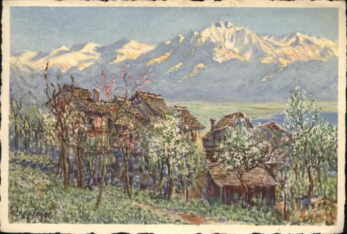 Zuerich Motivo a Minusio