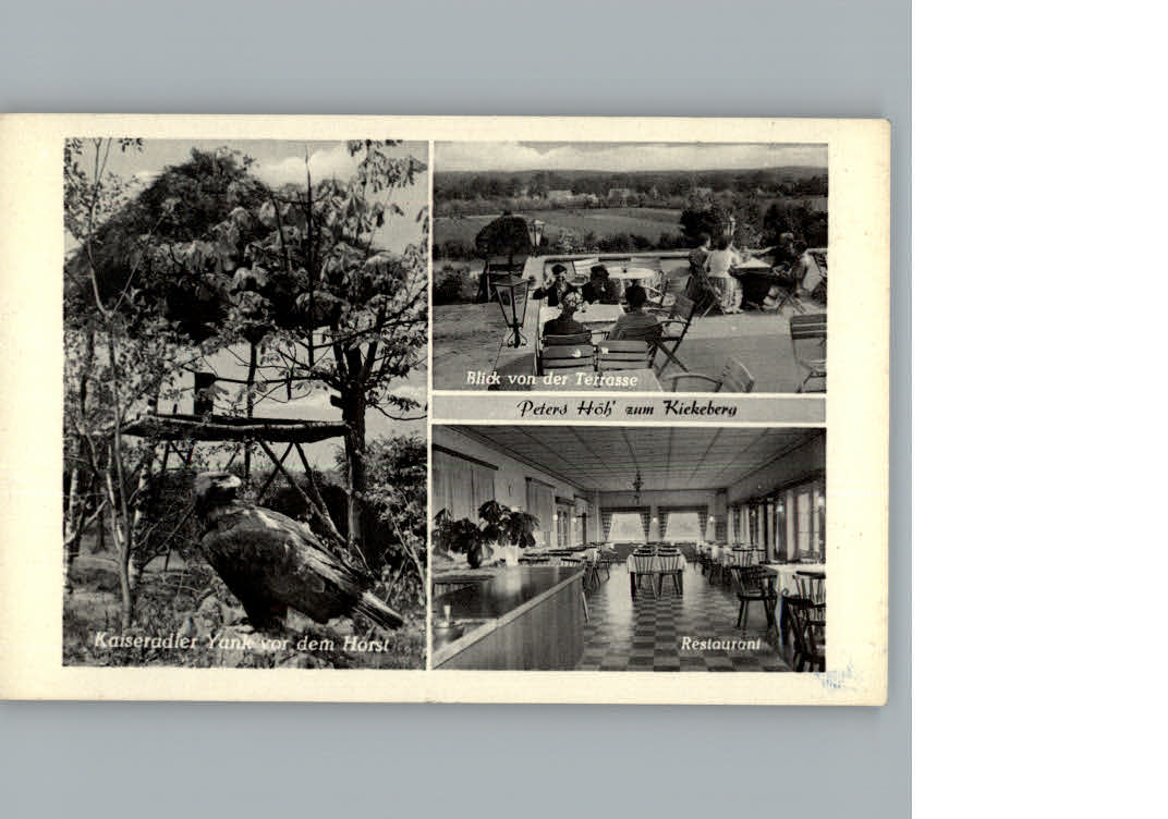 Ehestorf Harburg Restaurant Peters Hoeh