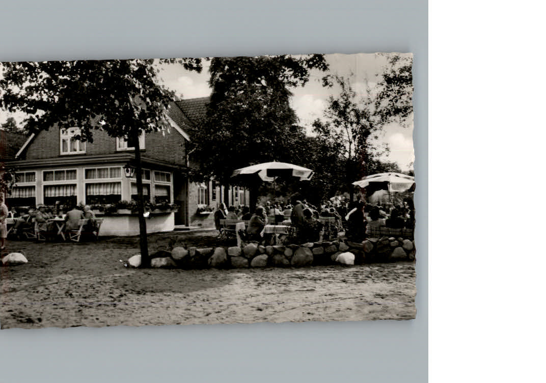 Undeloh Gasthaus Waldschaenke